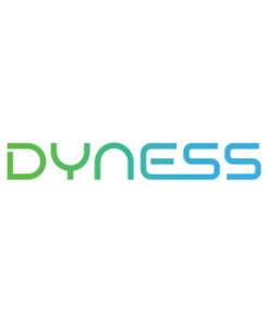 Dyness Batteries